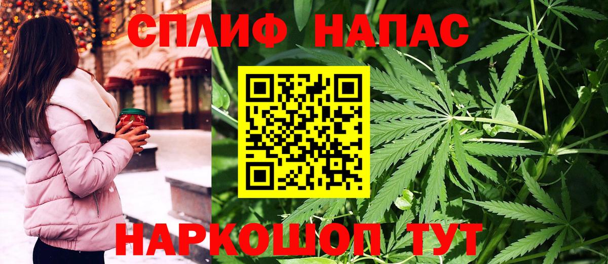 Конопля гибрид Лосино-Петровский